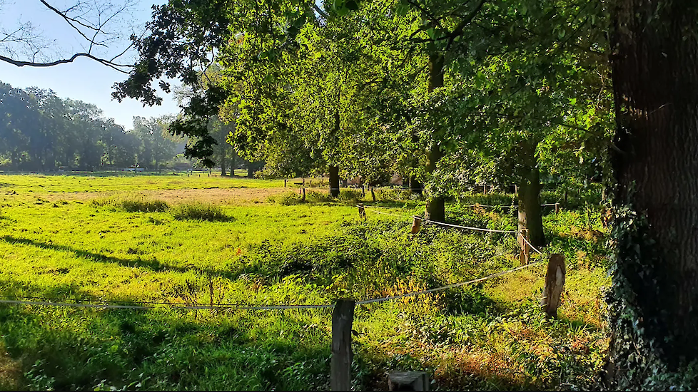 Overijssel Eist Dat Het Rijk Miljarden PPLG Stort | Vee-en-Gewas.nl ...