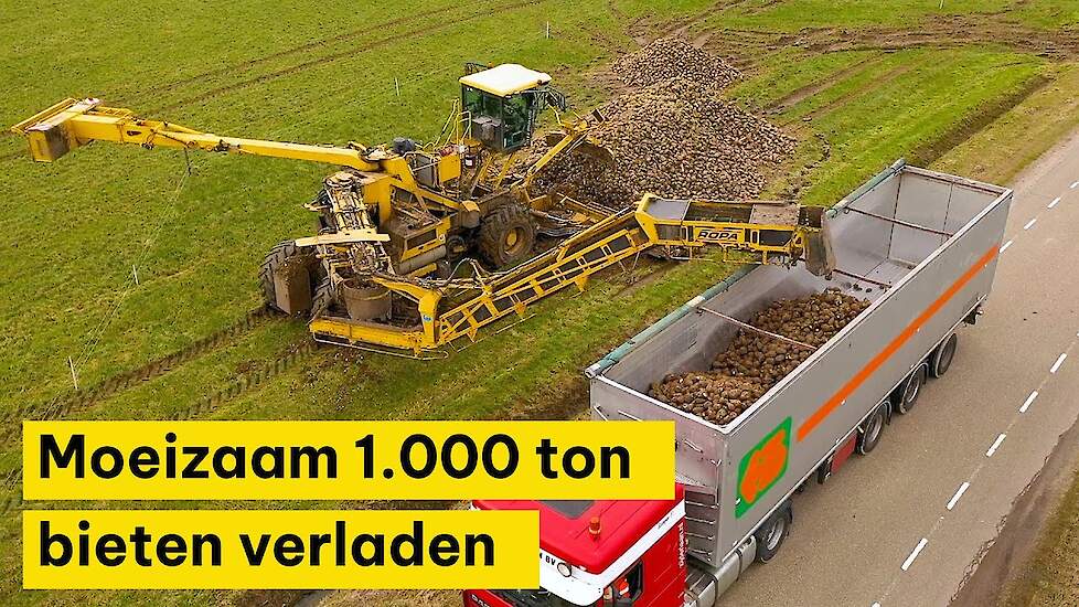 1.000 ton bieten verladen met bietenmuis