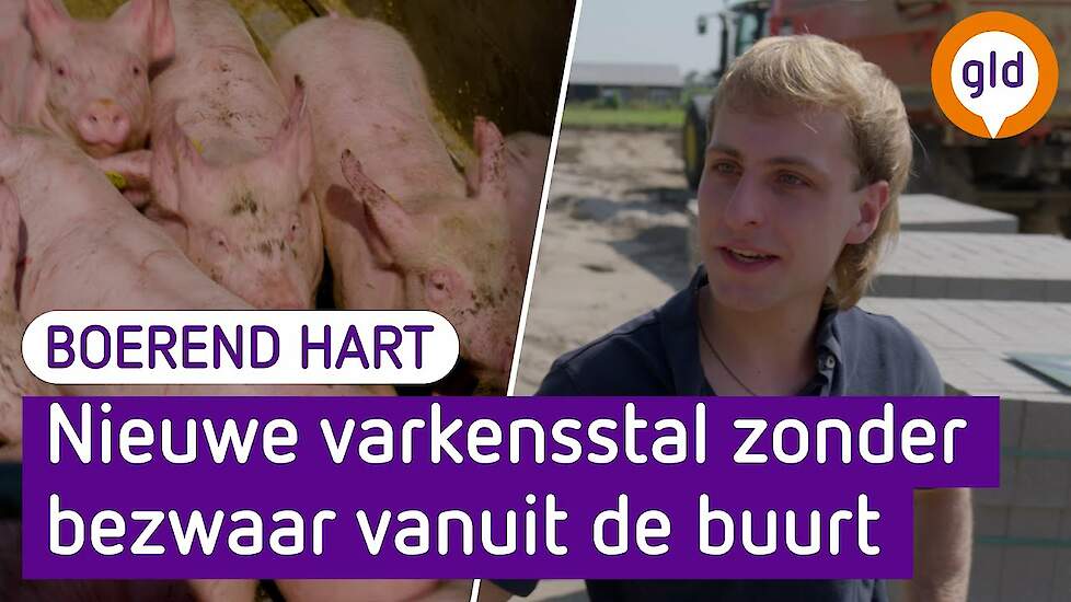 BOER SJOERD kan nog wél UITBREIDEN | Boerend Hart