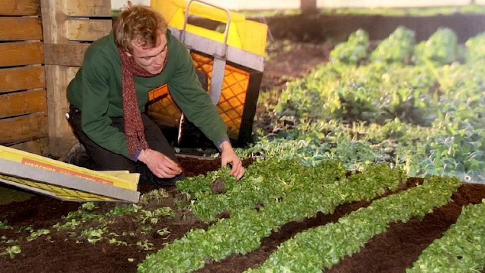 Het opleidingsinstituut voor biologisch dynamische landbouw de Warmonderhof in Dronten is opvallend aanwezig. Terwijl een van de studenten zit te oogsten, vertelt Anne Veltman dat de open dag bijvoorbeeld héél veel volk trok; „De belangstelling groeit eno