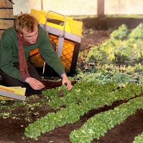 Het opleidingsinstituut voor biologisch dynamische landbouw de Warmonderhof in Dronten is opvallend aanwezig. Terwijl een van de studenten zit te oogsten, vertelt Anne Veltman dat de open dag bijvoorbeeld héél veel volk trok; „De belangstelling groeit eno