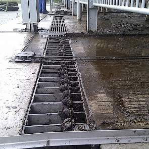 De mest, vermengd met zand en water, verdwijnt aan het einde van een stal in een goot.