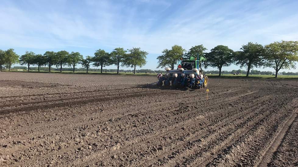 Waterink kiest bewust voor ploegen in plaats van spitten. „Spitten zorgt voor een te fijn zaaibed, wat bij droogte gaat stuiven en bij een nat voorjaar snel dichtslempt. Door wat grovere kluiten te houden, heb je een betere capillaire werking. Ook rijden