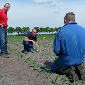 Samen met Jan Roothaert van Limagrain en Sjors Leermakers wordt het gewas beoordeeld en gekeken naar de onkruidonstand in het perceel.