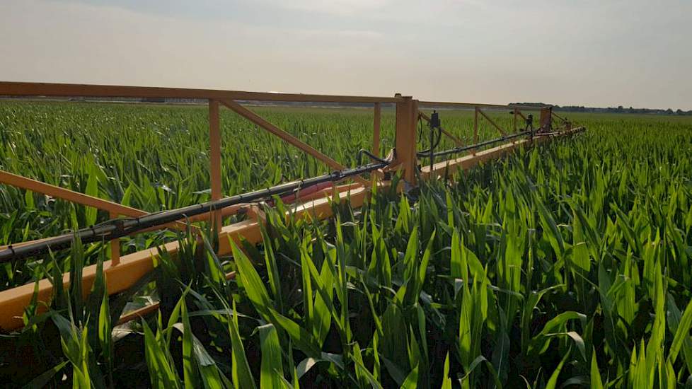 Volgens de veehouders is de droogte ook niet gunstig voor het spuiten. „Bij droogte worden zouten heel snel opgenomen. In principe bevat spuitmiddel geen zouten, maar als er wel iets in zit dan heb je direct verliezen.” ’s Avonds spuiten is volgens Jan He