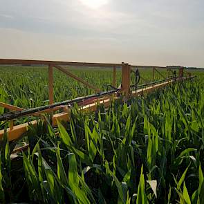 Volgens de veehouders is de droogte ook niet gunstig voor het spuiten. „Bij droogte worden zouten heel snel opgenomen. In principe bevat spuitmiddel geen zouten, maar als er wel iets in zit dan heb je direct verliezen.” ’s Avonds spuiten is volgens Jan He