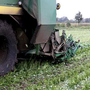 Op 7 juli ging het zaad op ruim 17 hectare de grond in en 76 dagen later verwacht Oerlemans de sperziebonen in de fabriek. Het ras Stanley heeft precies die tijd nodig om te groeien.  Er blijven bonen achter op het land omdat de planten snel bloeiden. Lee